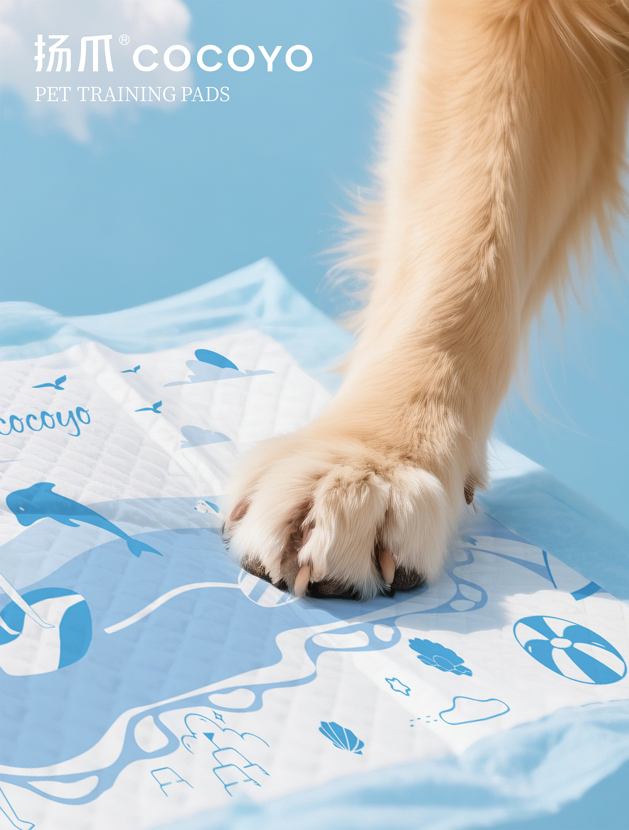 Pet urine pad，packing design，Creative design，Festival Limited Design，