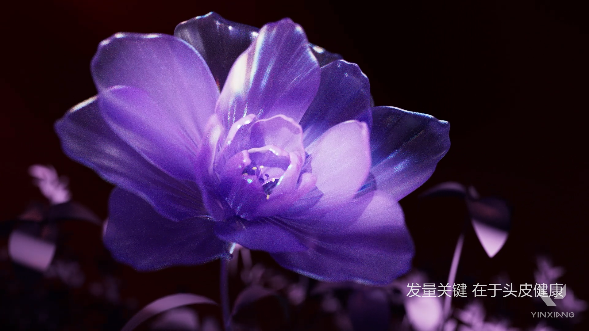 Advertising film，3D Video Advertising，CG animation，Product introduction，Personal care products，Scalp Massager，Light and shadow effect display，Product function display，