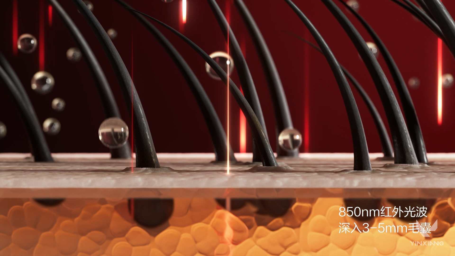 Advertising film，3D Video Advertising，CG animation，Product introduction，Personal care products，Scalp Massager，Light and shadow effect display，Product function display，