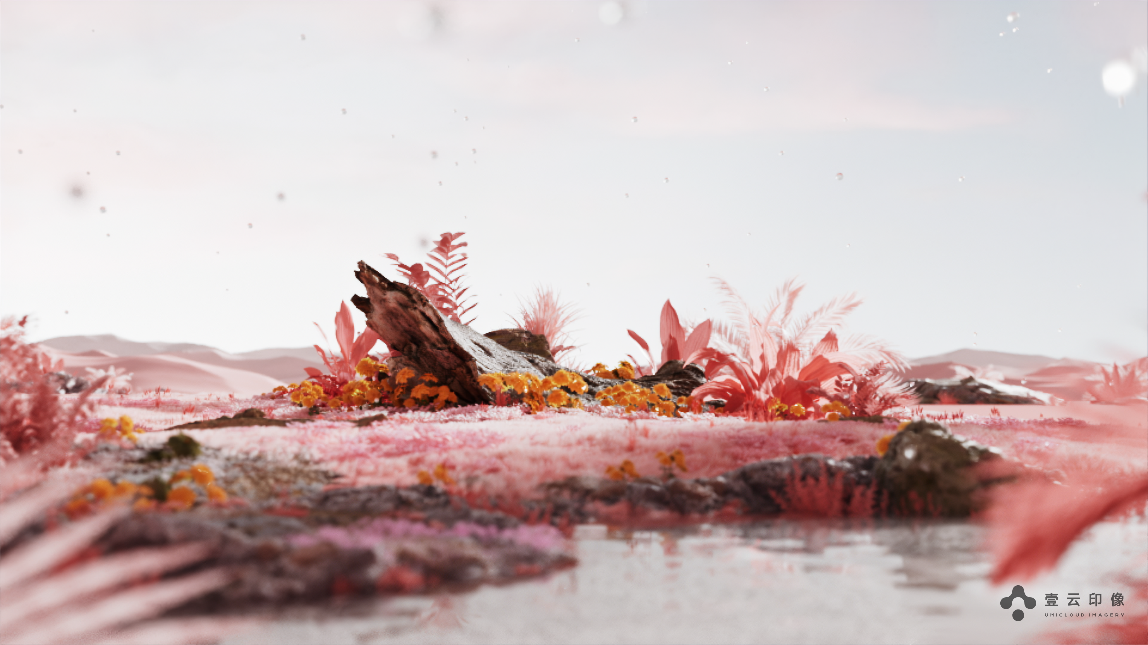 CG Video Advertising，3d scene modeling，Product Video Advertising，Product function visualization，Product appearance material，Structure Split，Hair Skin Treatment，Craft material display，