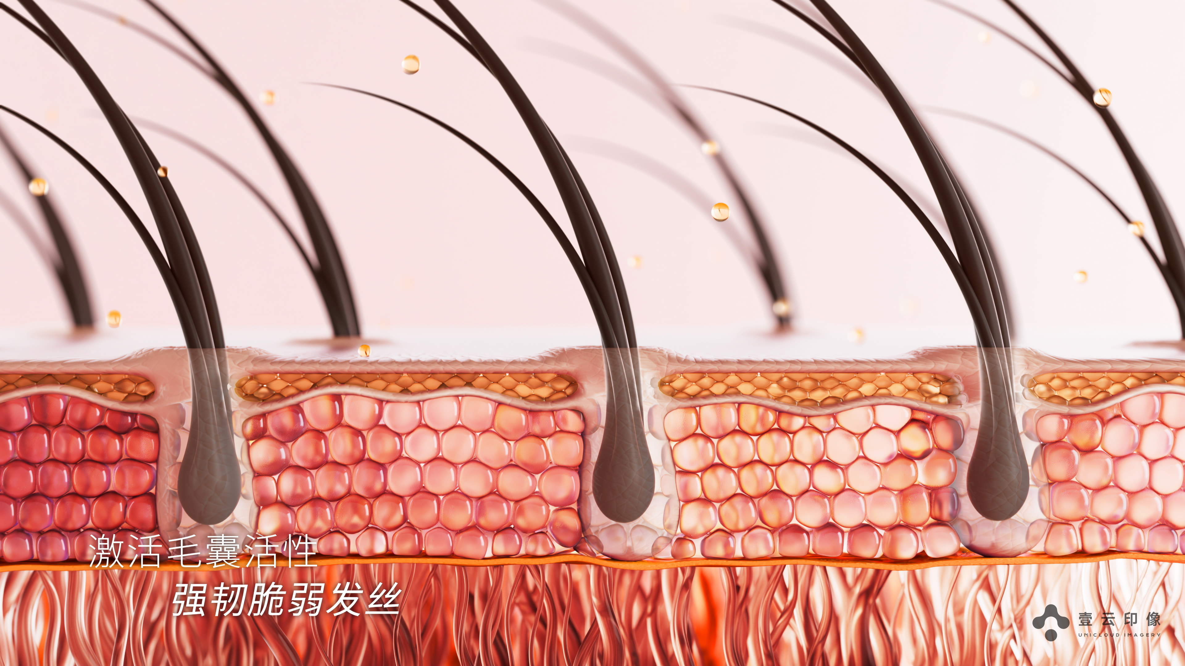 CG Video Advertising，3d scene modeling，Product Video Advertising，Product function visualization，Product appearance material，Structure Split，Hair Skin Treatment，Craft material display，