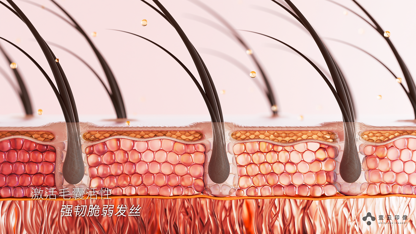 CG Video Advertising，3d scene modeling，Product Video Advertising，Product function visualization，Product appearance material，Structure Split，Hair Skin Treatment，Craft material display，
