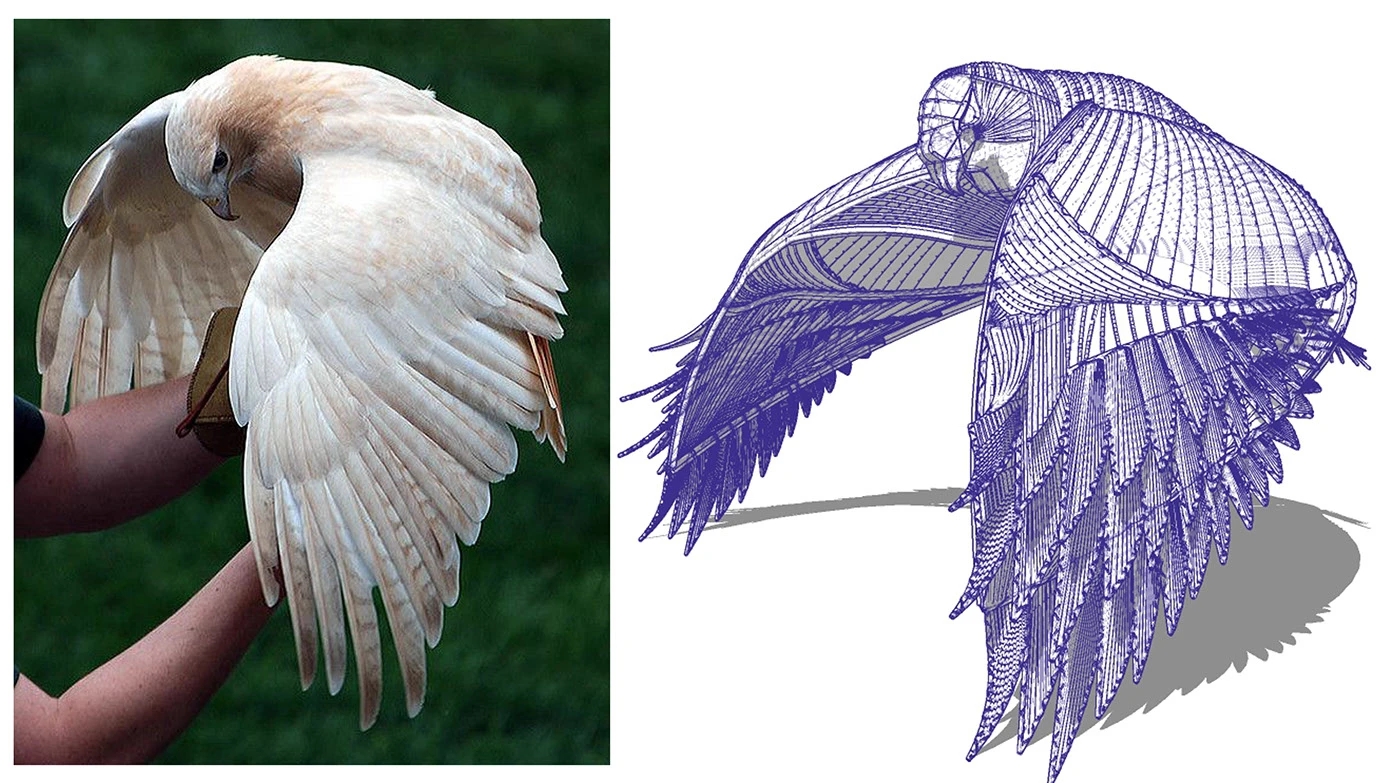 Bamboo Yoga Deck，Yoga Studio，environmental design，Architecture，