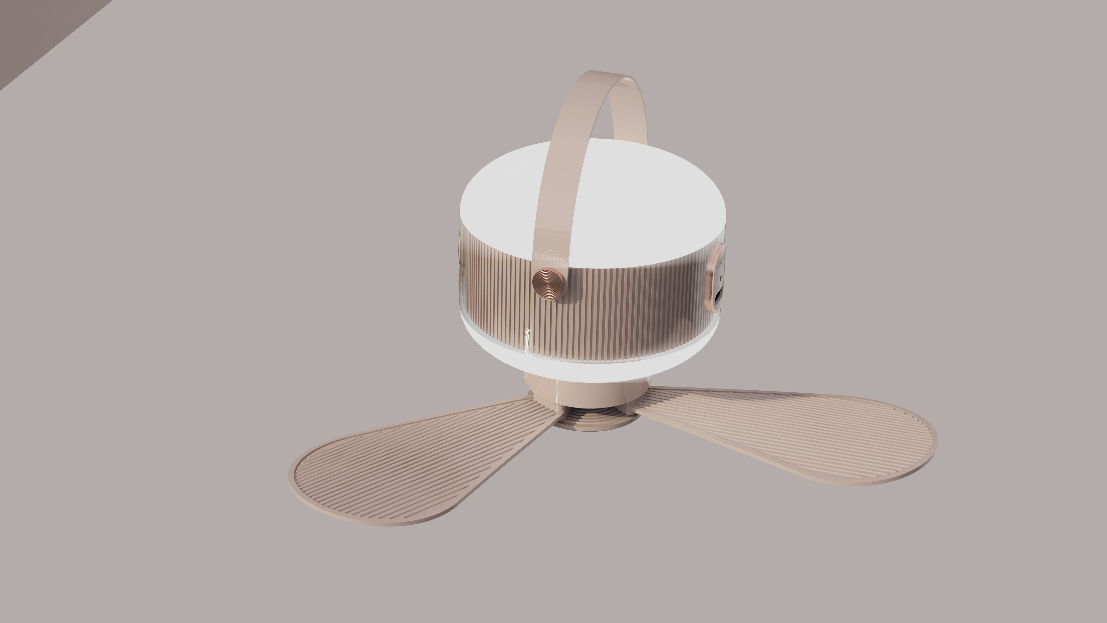 Dual-purpose fan，