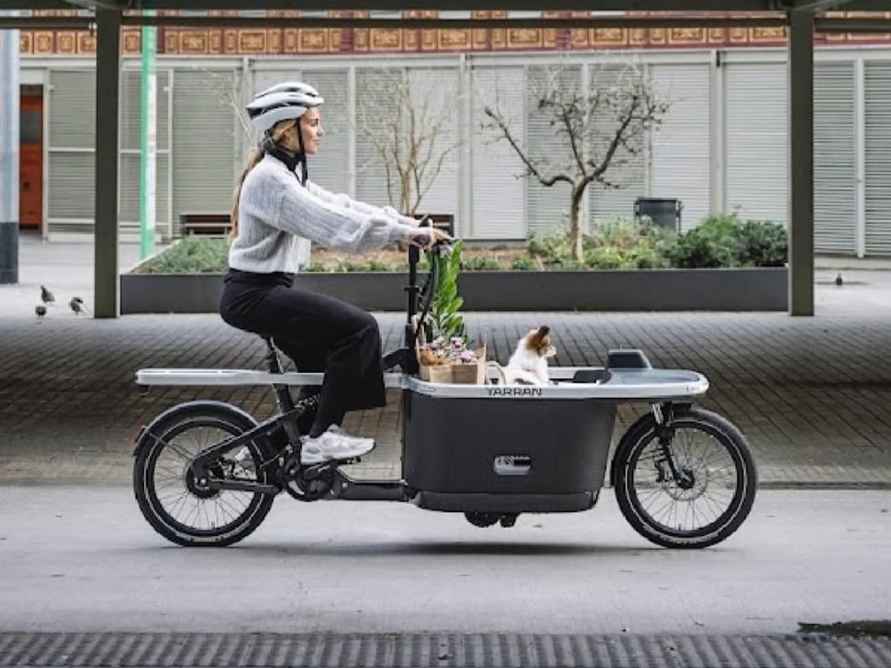 TARRAN T1 Pro，Electric freight bicycle，vehicle，industrial design，