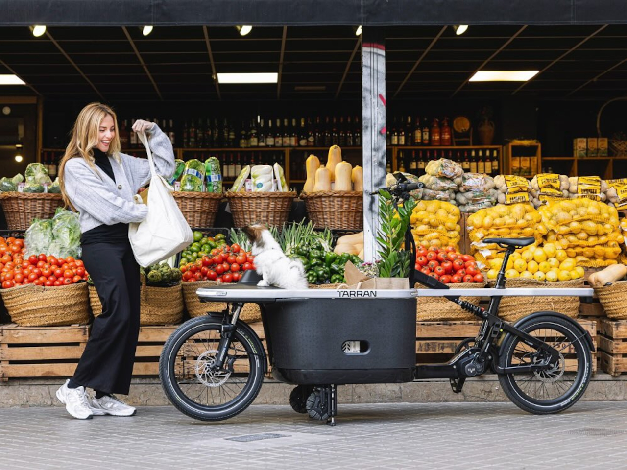 TARRAN T1 Pro，Electric freight bicycle，vehicle，industrial design，