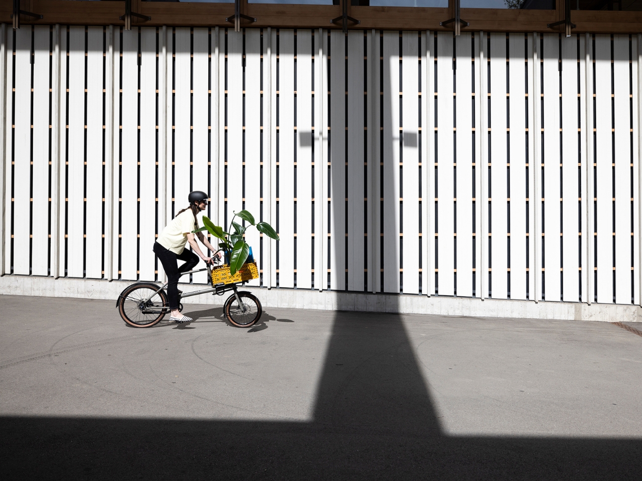 MONoPOLE No O1，Cargo bicycle，vehicle，Bicycle，