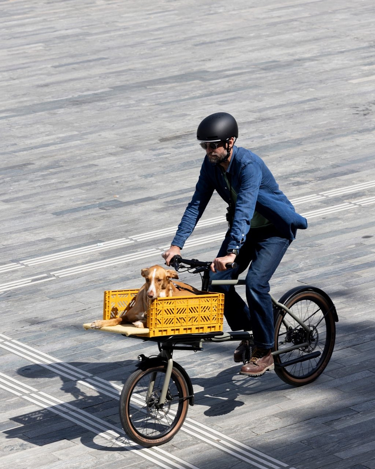 MONoPOLE No O1，Cargo bicycle，vehicle，Bicycle，