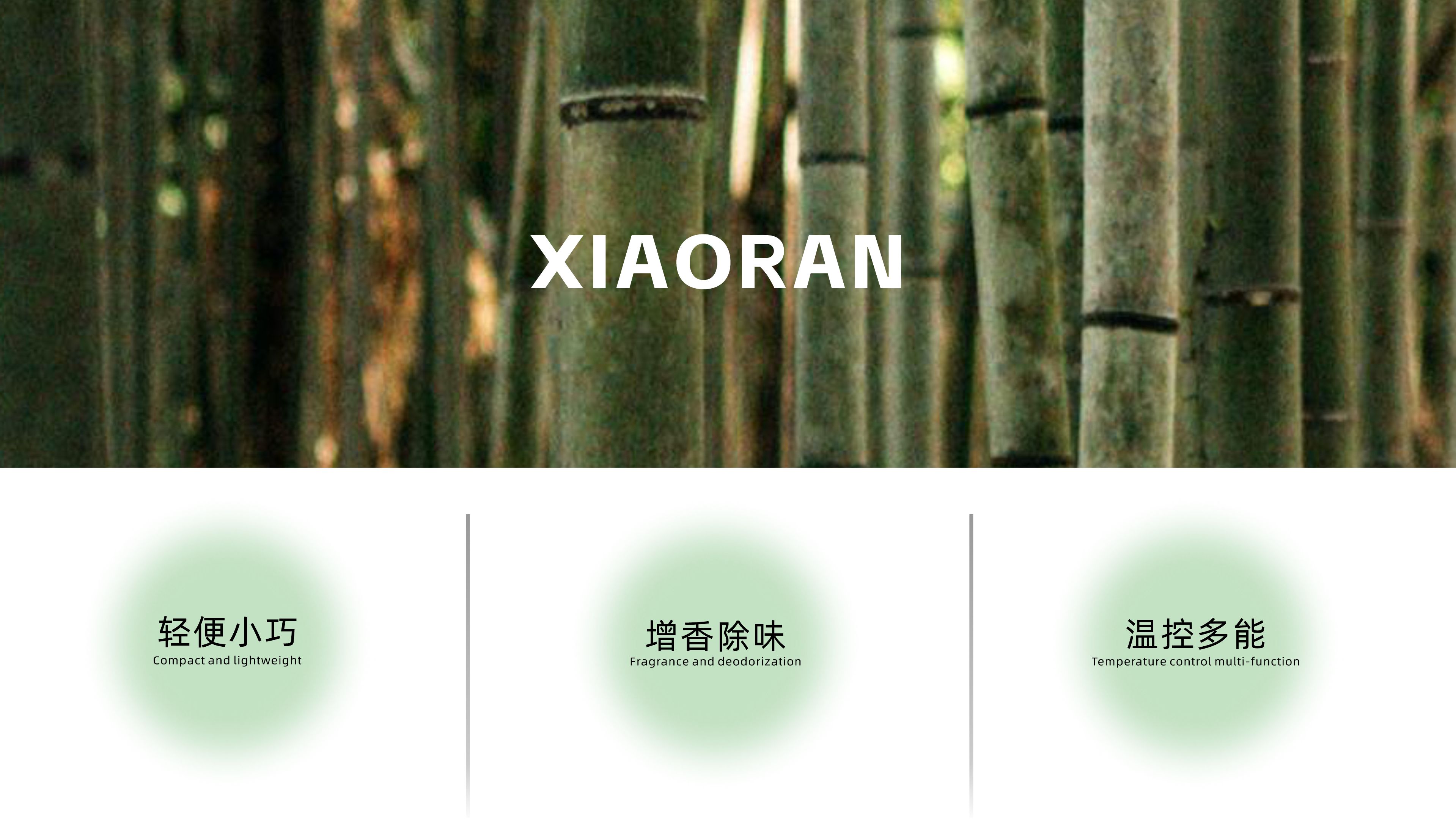 Iron，concept，Convenient travel，Home use，