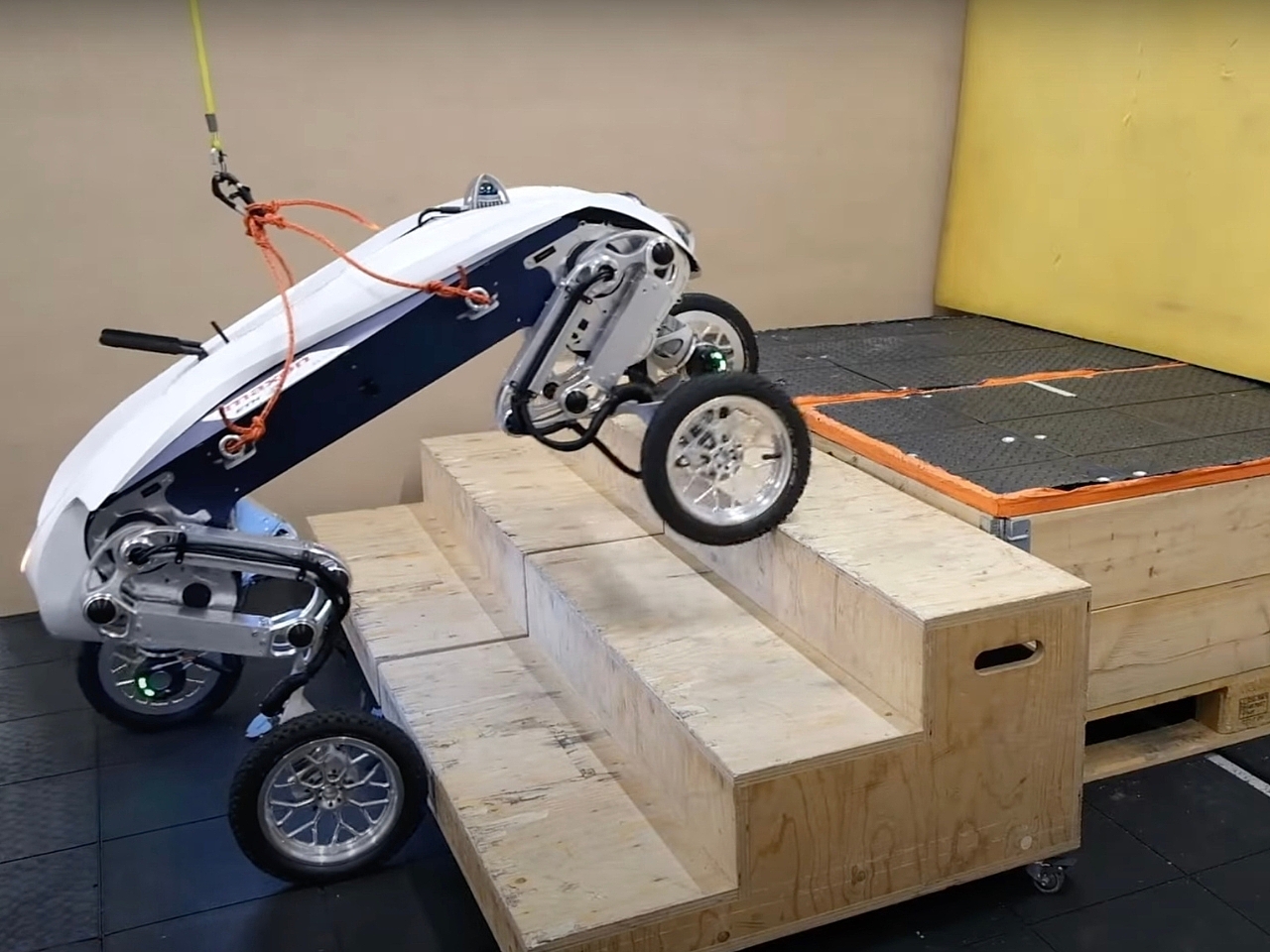Left，New distribution robot，Digital，artificial intelligence，