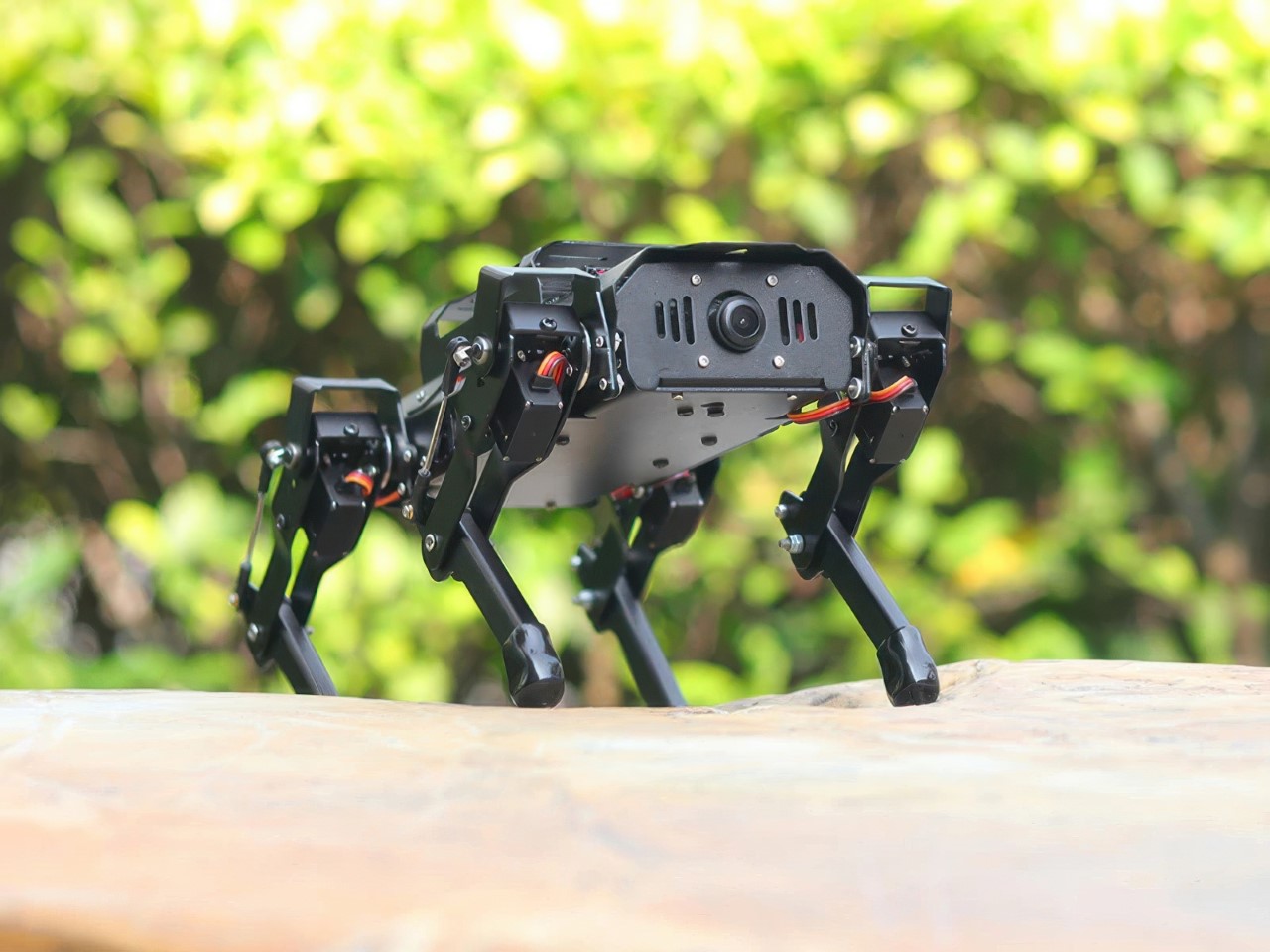 Robot dog，PuppyPi，artificial intelligence，Digital，
