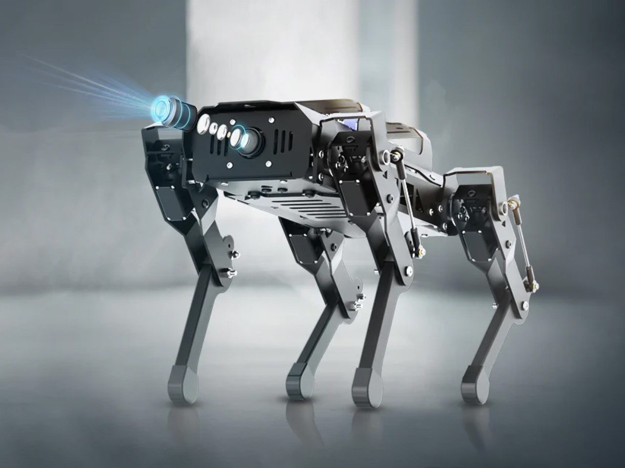 Robot dog，PuppyPi，artificial intelligence，Digital，
