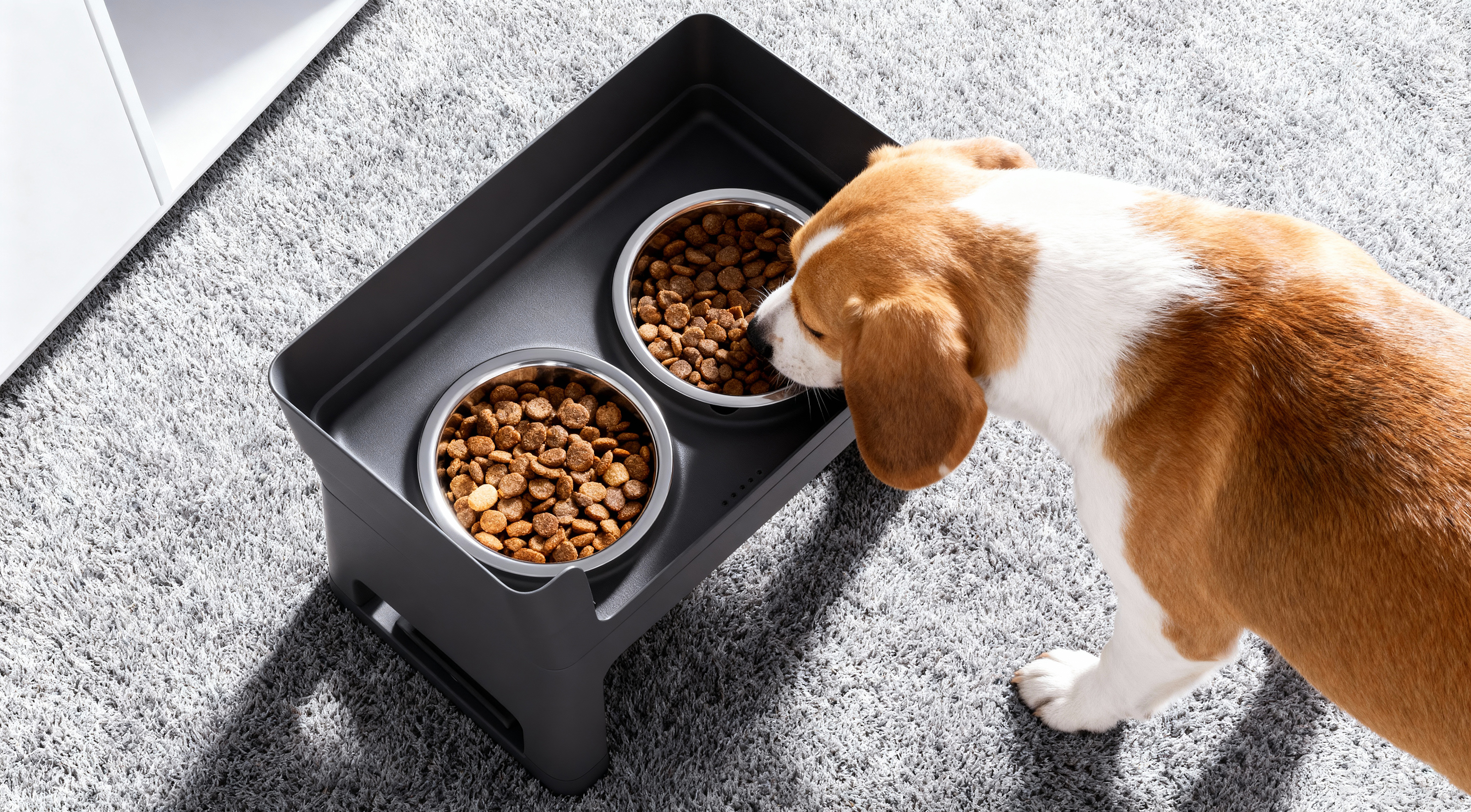 Pet products, cat bowl, dog bowl, dog bowl, dog food bowl，