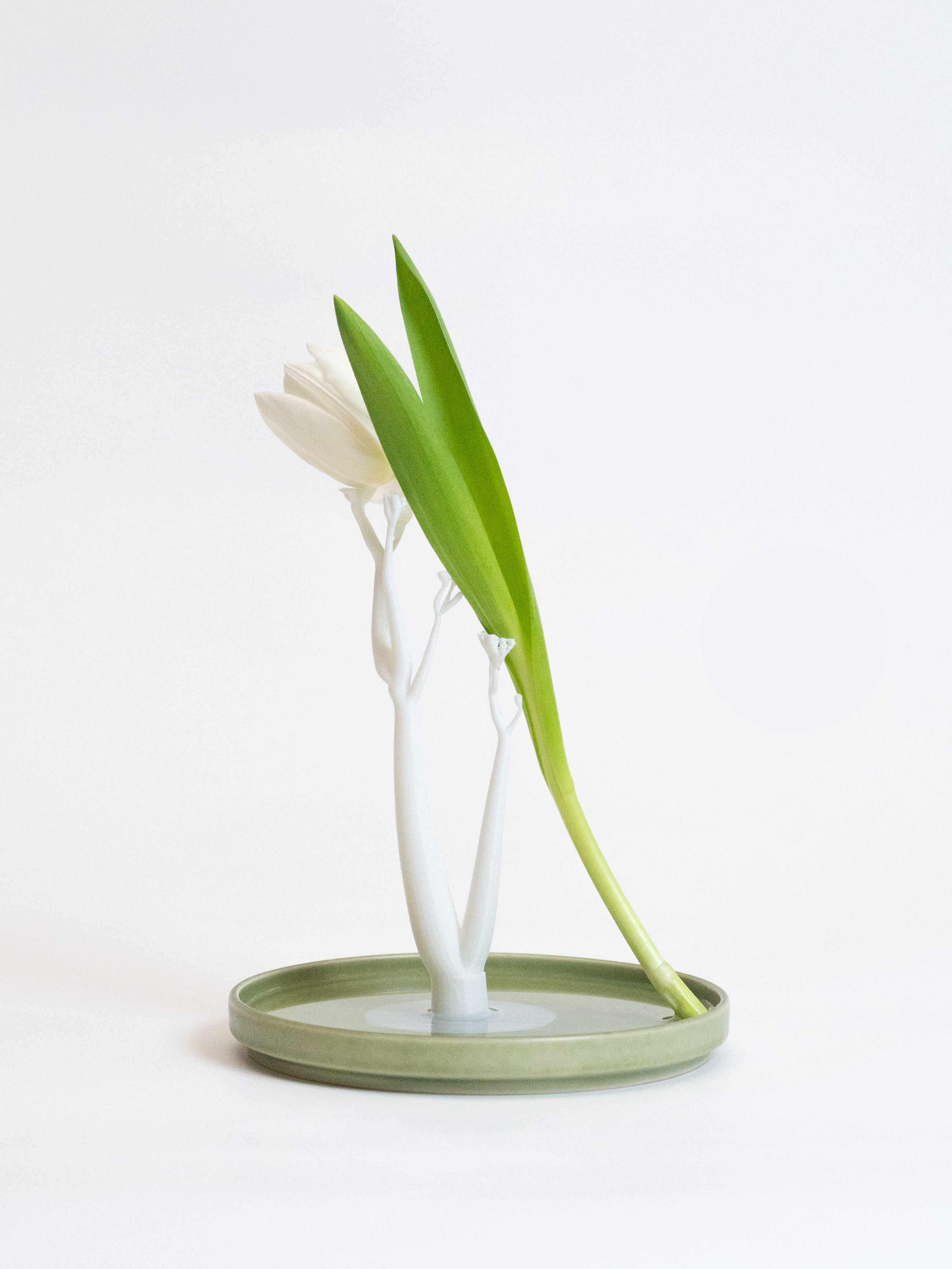 3D printing，product design，Flower rack，