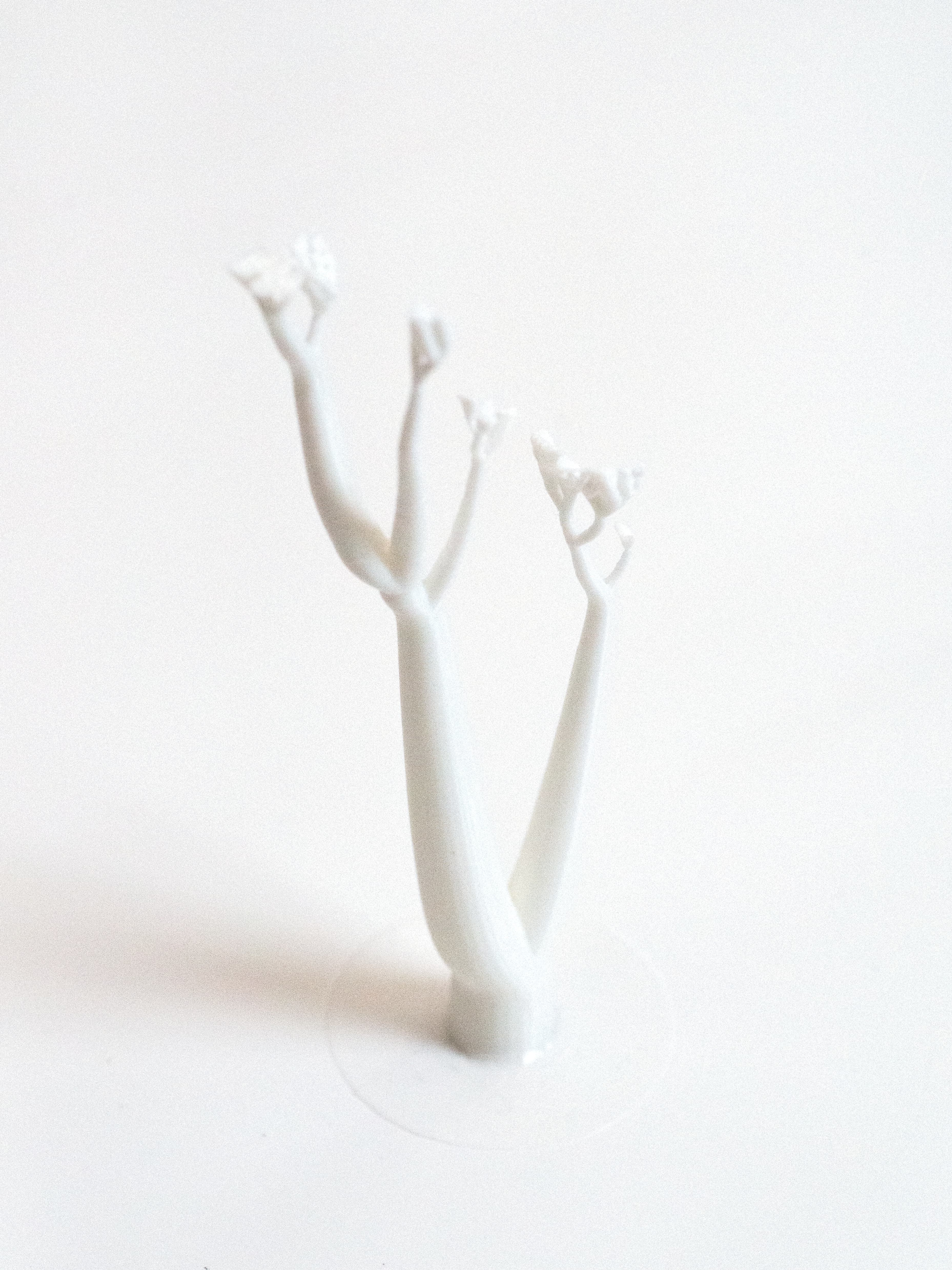 3D printing，product design，Flower rack，
