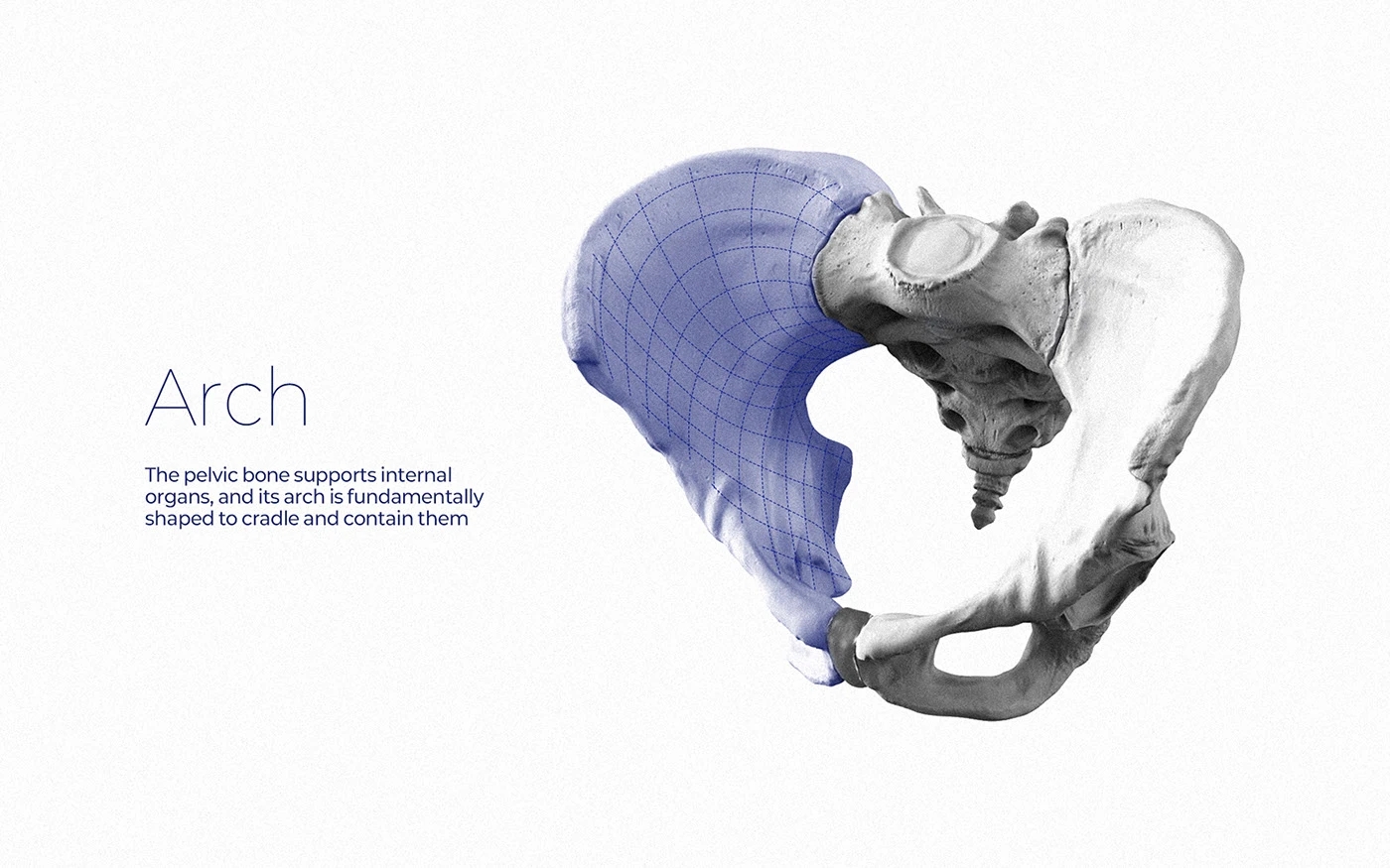 Himalaya，chair，furniture，originality，