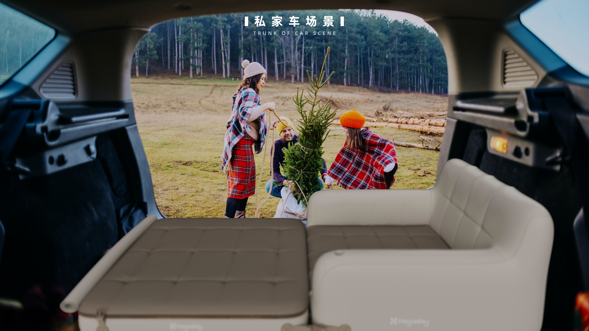 Video for display，