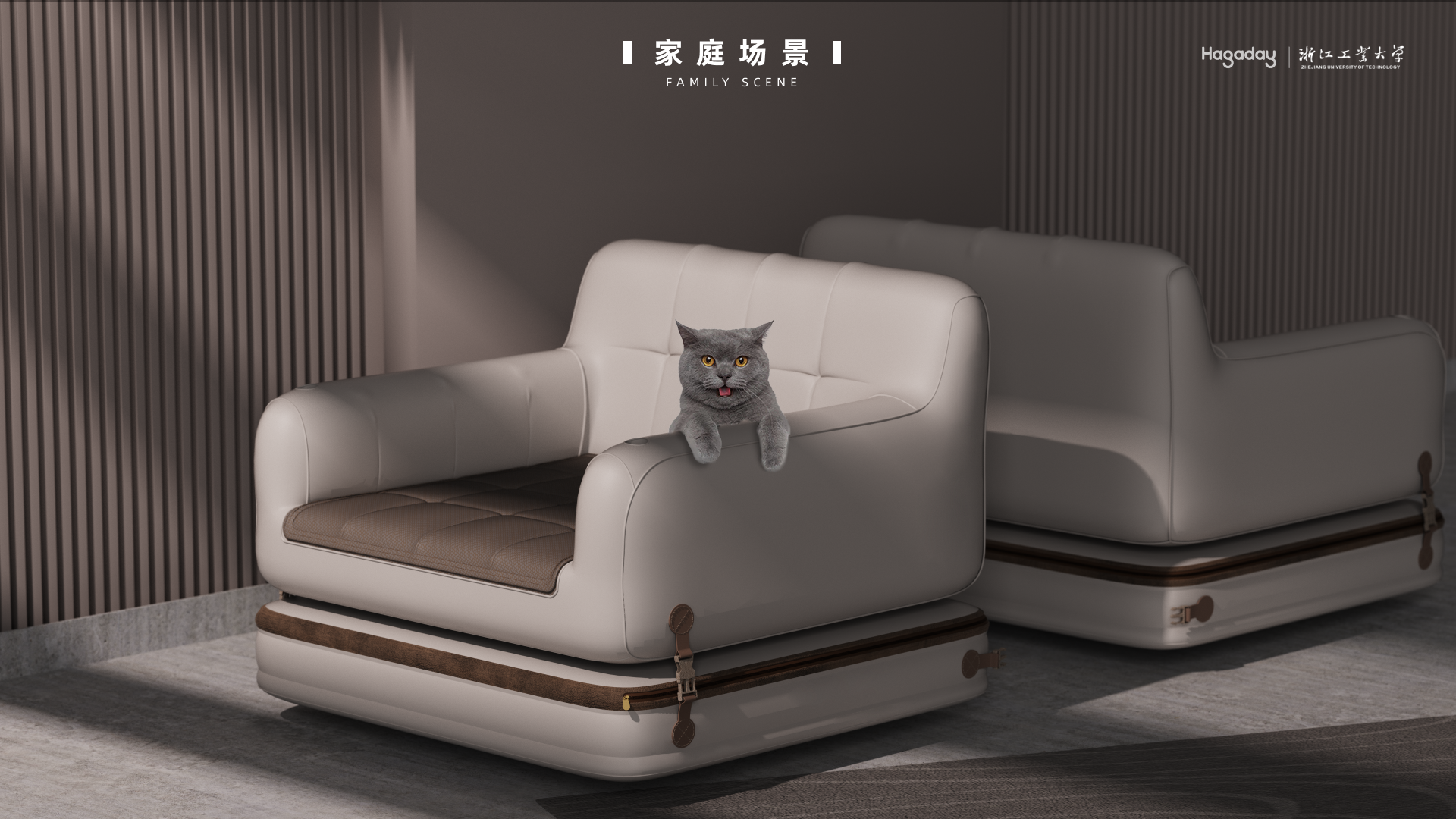 Video for display，