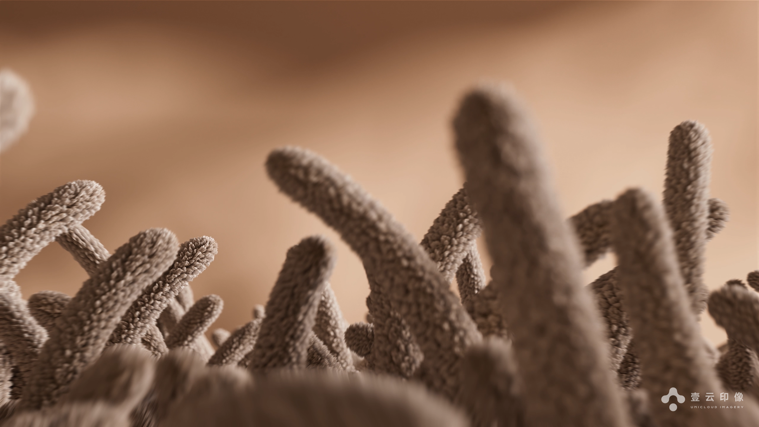 CG Promo，three-dimensional animation，Product modeling，advertising，Product creativity，Creative advertising，3D video，Product function，