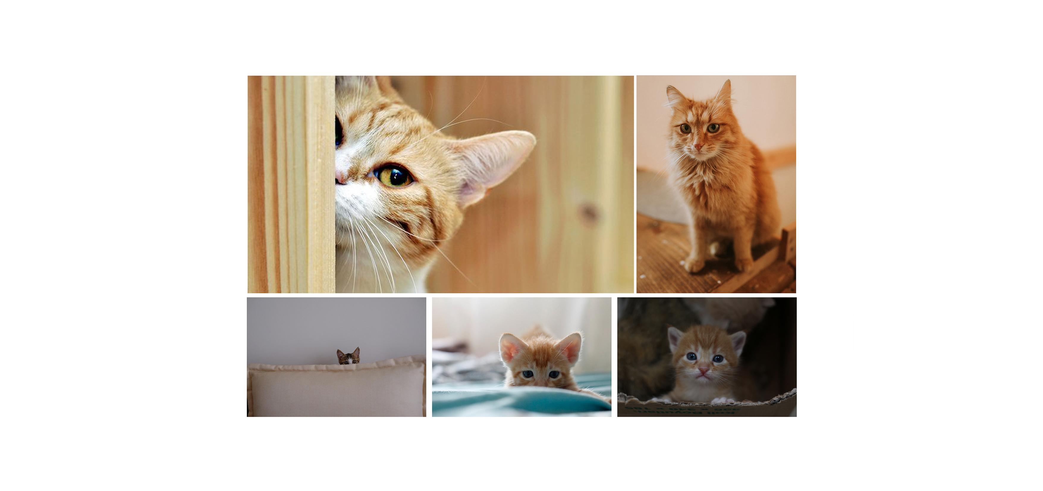 Handheld fan，Small fan，lovely，Portable fan，product design，