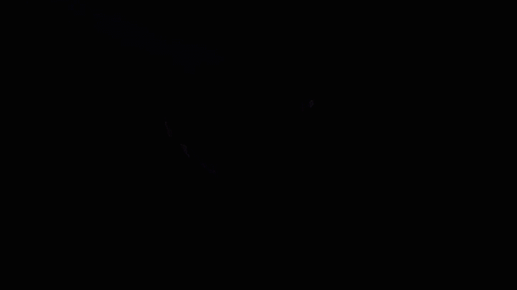c4d，ae，ps，PR，ai，