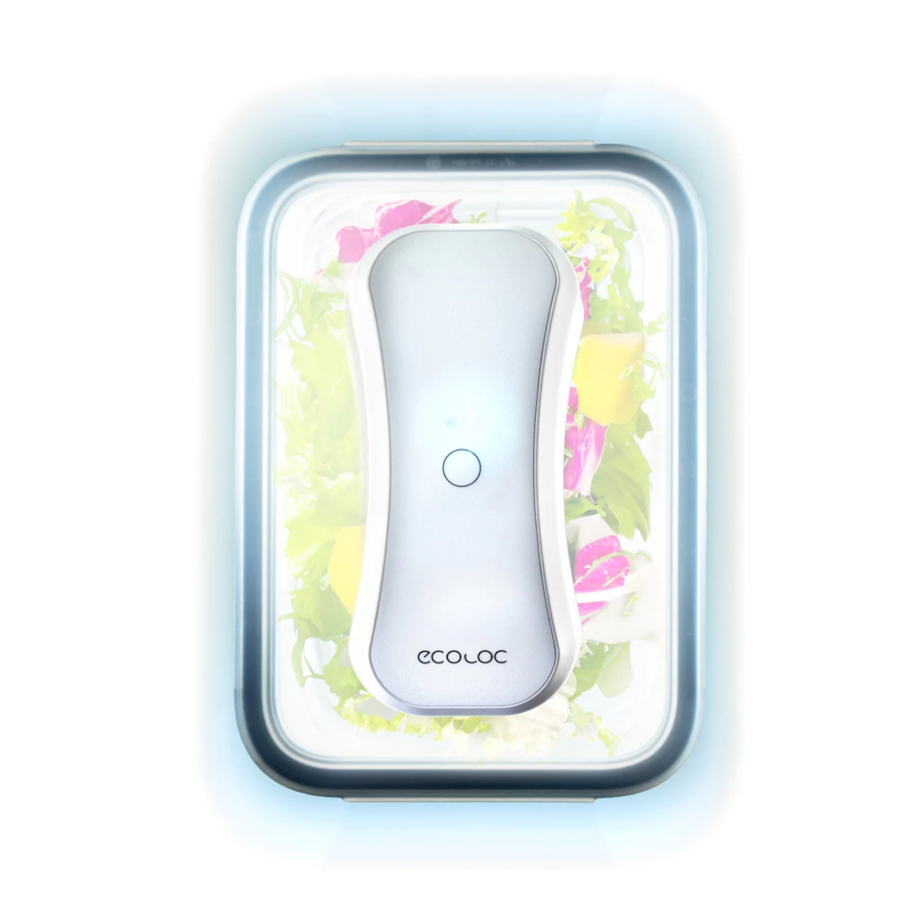 food container lid，Preservation，Food storage，UV-C，Ecoloc，