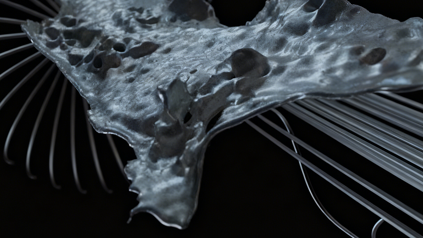 c4d，ae，ps，