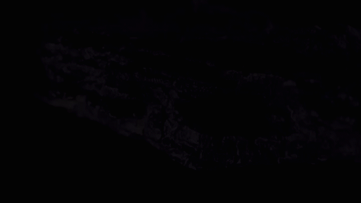 c4d，ae，ps，