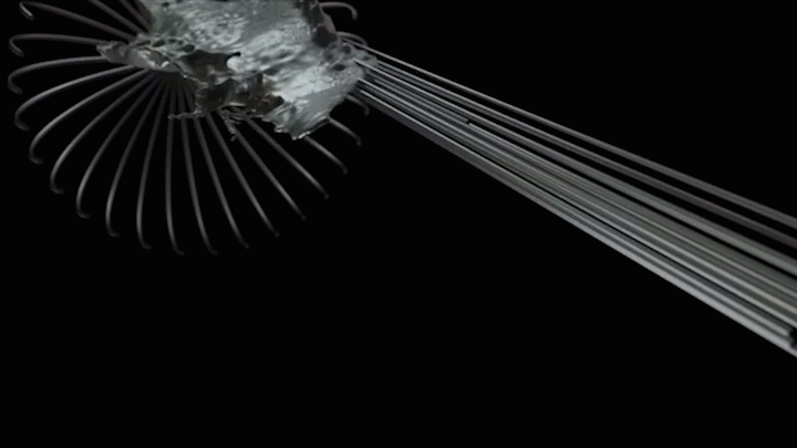 c4d，ae，ps，