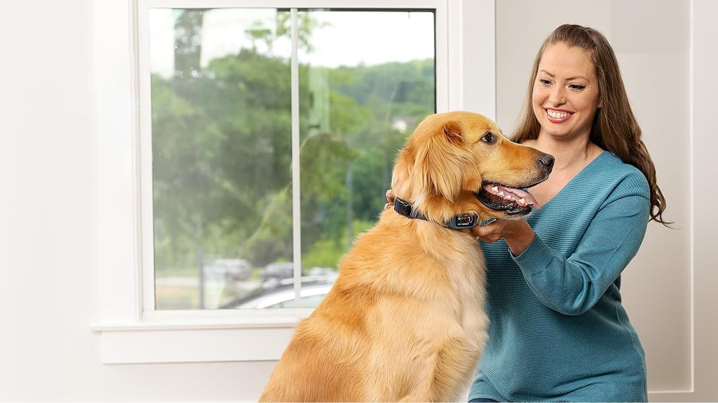 Pet smart wear，