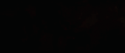 c4d，ae，ps，ai，