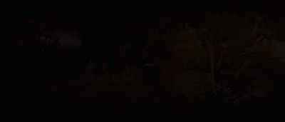 c4d，ae，ps，ai，