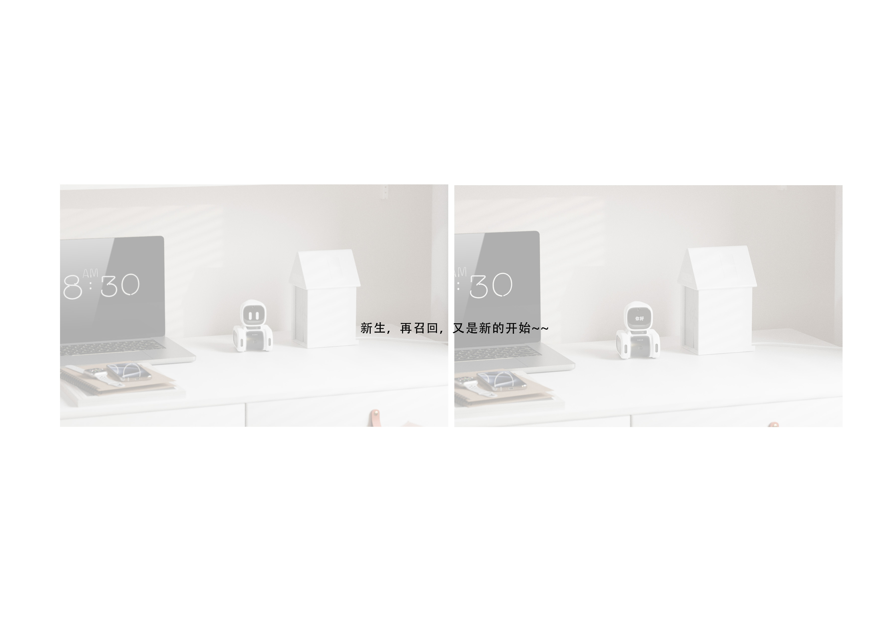 ai，accompany，desktop，