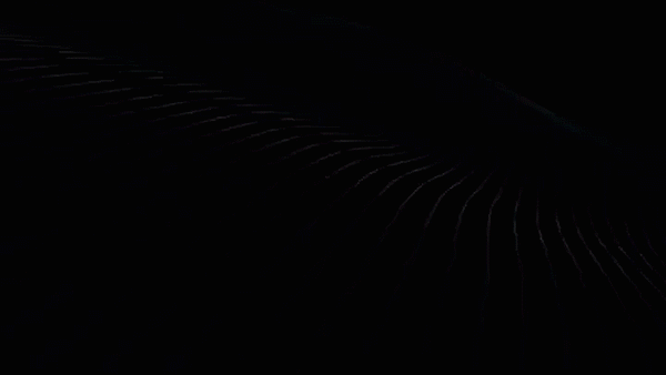 c4d，ae，PR，AU，