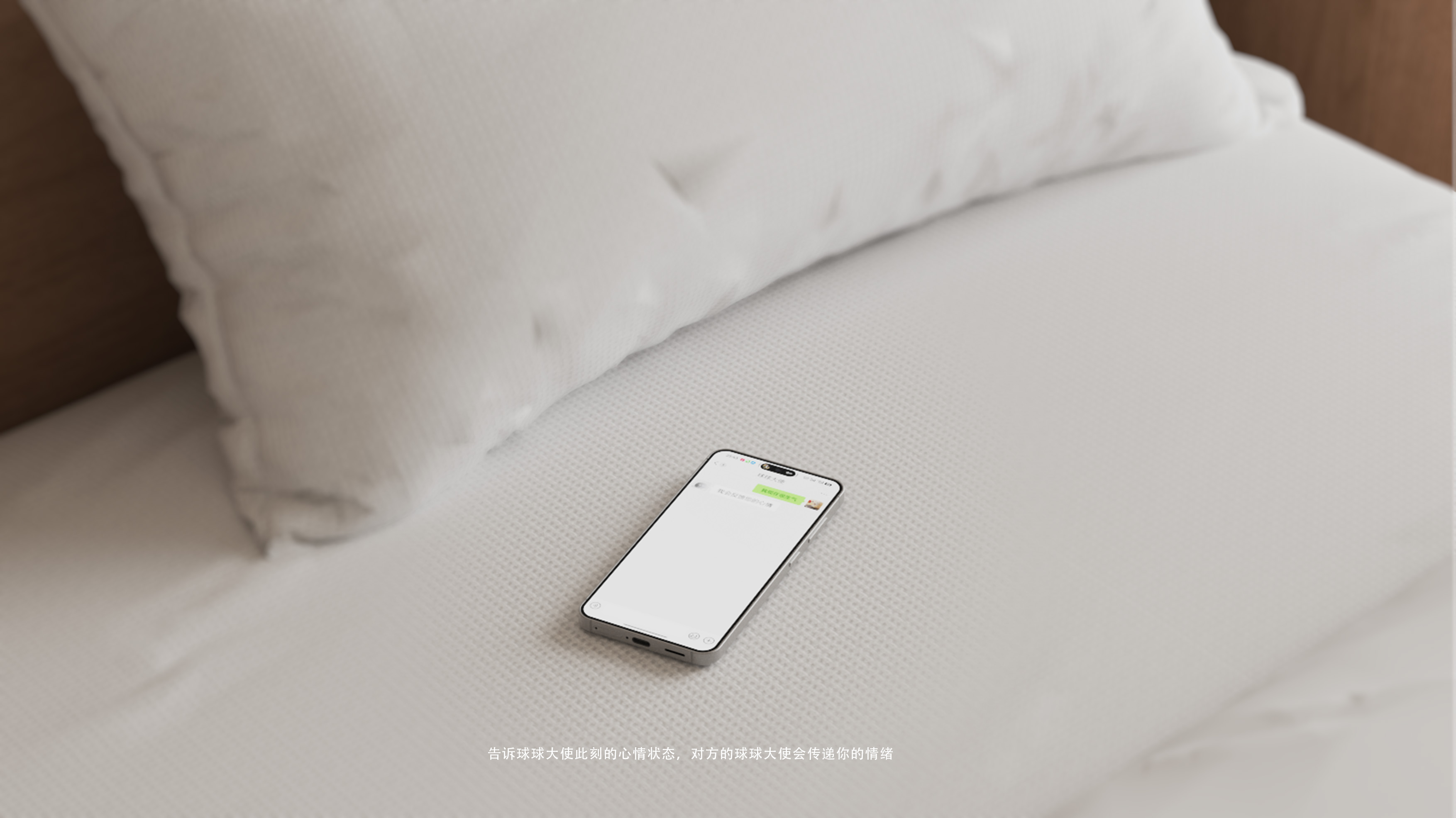 desktop，social contact，accompany，