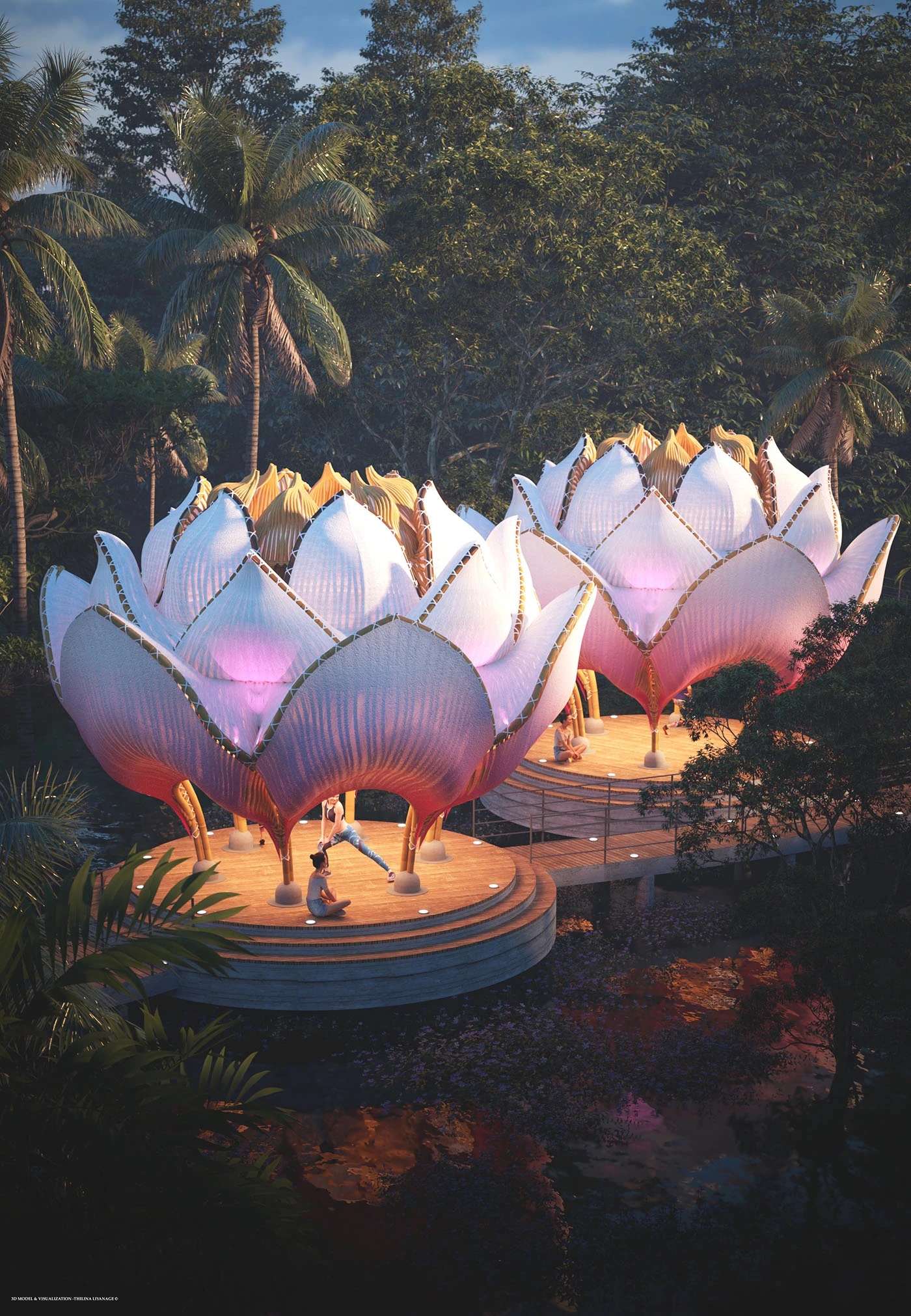 Open space，yoga，Bodybuilding，White Lotus，Bamboo，