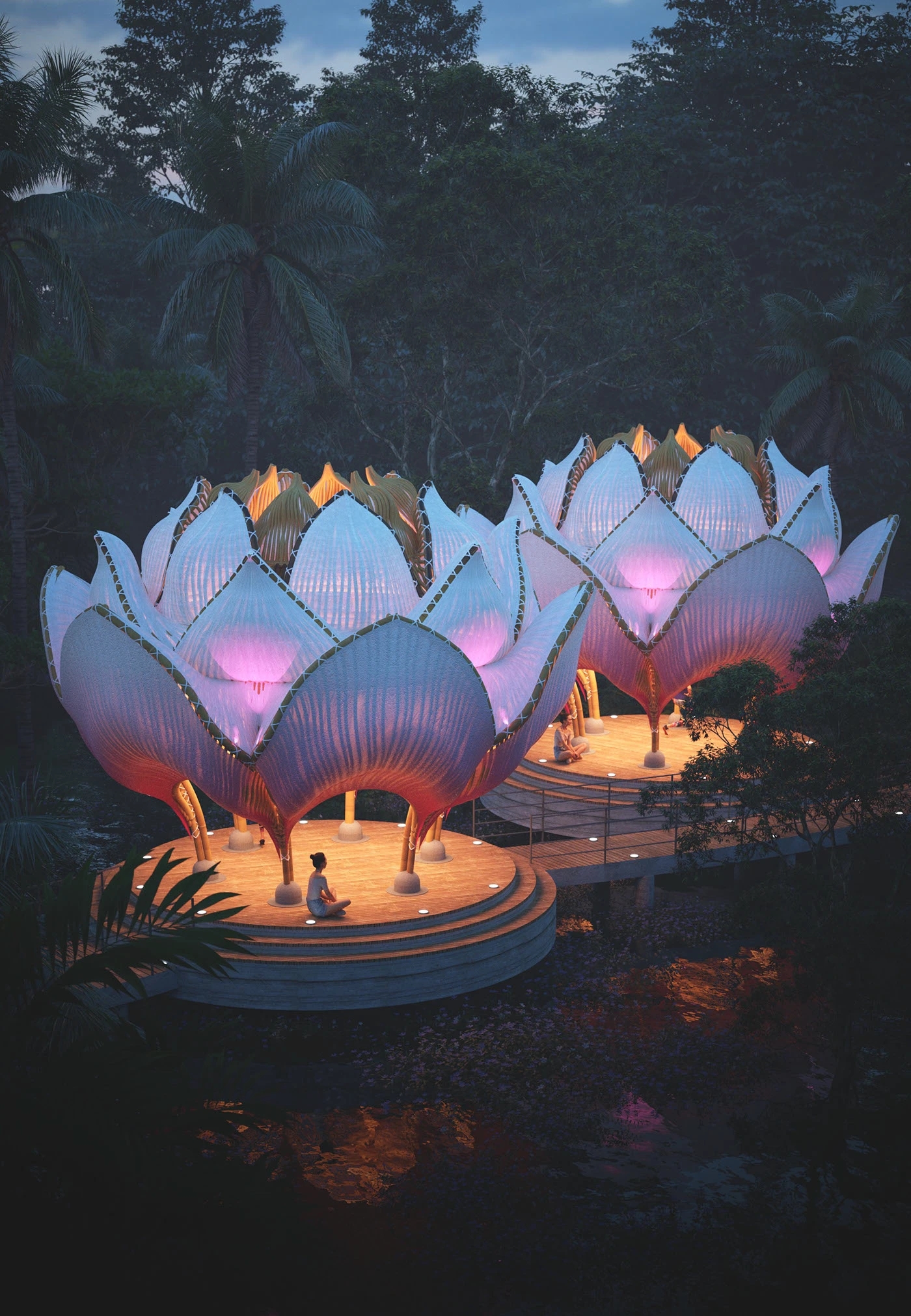 Open space，yoga，Bodybuilding，White Lotus，Bamboo，