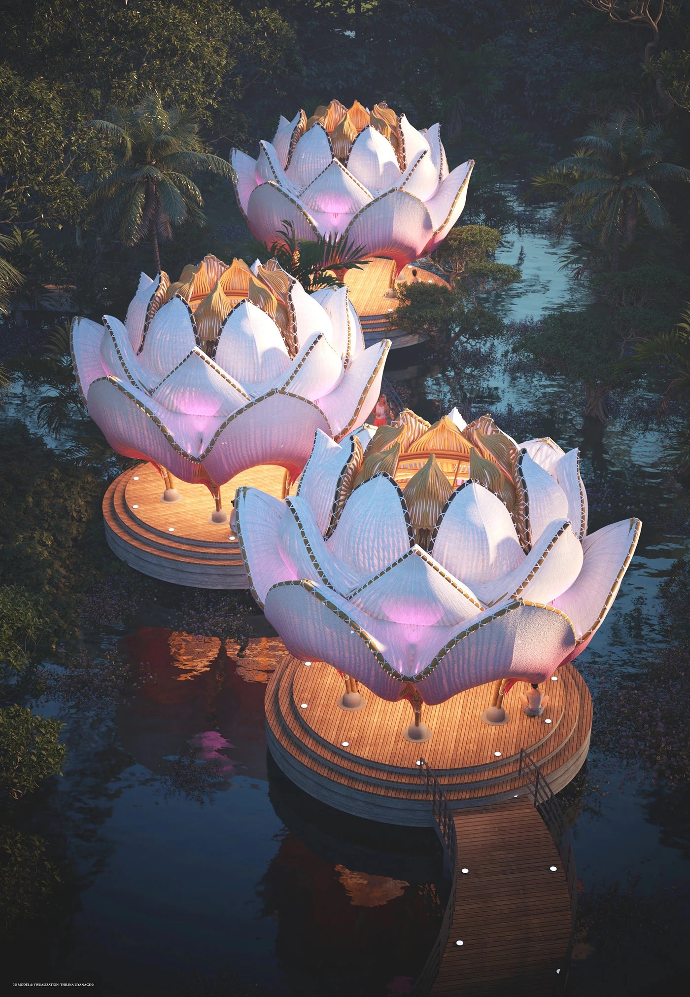 Open space，yoga，Bodybuilding，White Lotus，Bamboo，