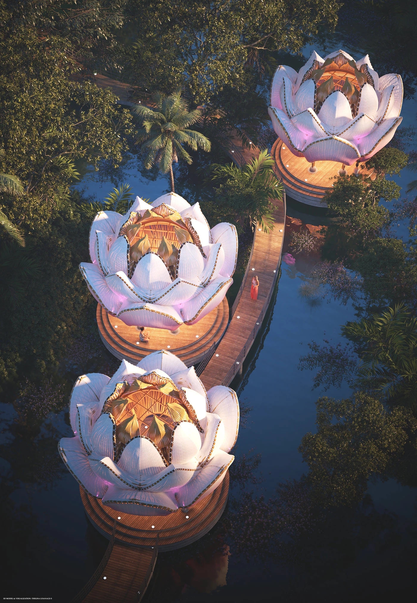 Open space，yoga，Bodybuilding，White Lotus，Bamboo，