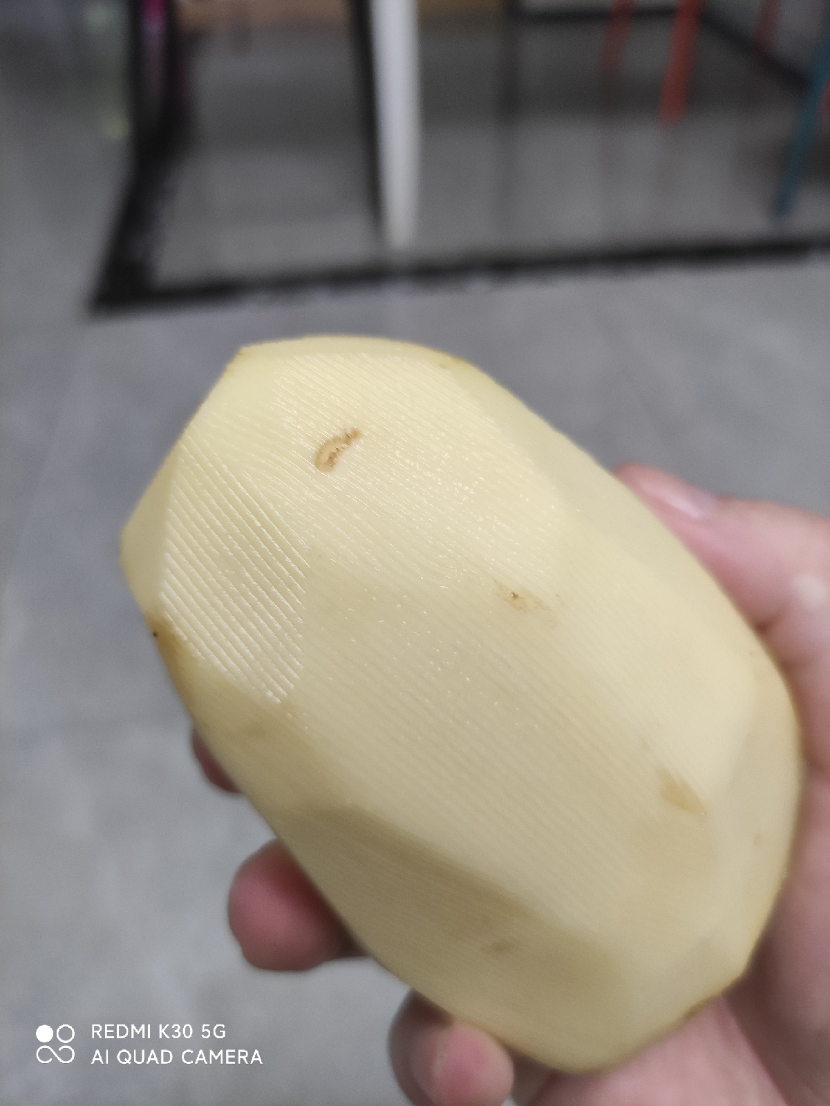 Mouse design，originality，Life creativity，Element Refining，