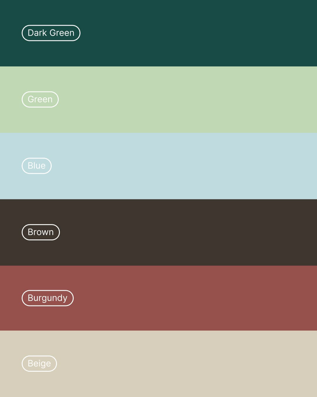 emotional resonance，Brand design，warm，Veterinary Project，