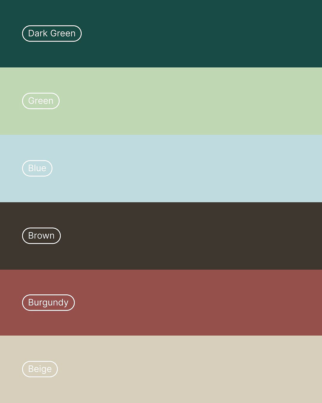 emotional resonance，Brand design，warm，Veterinary Project，