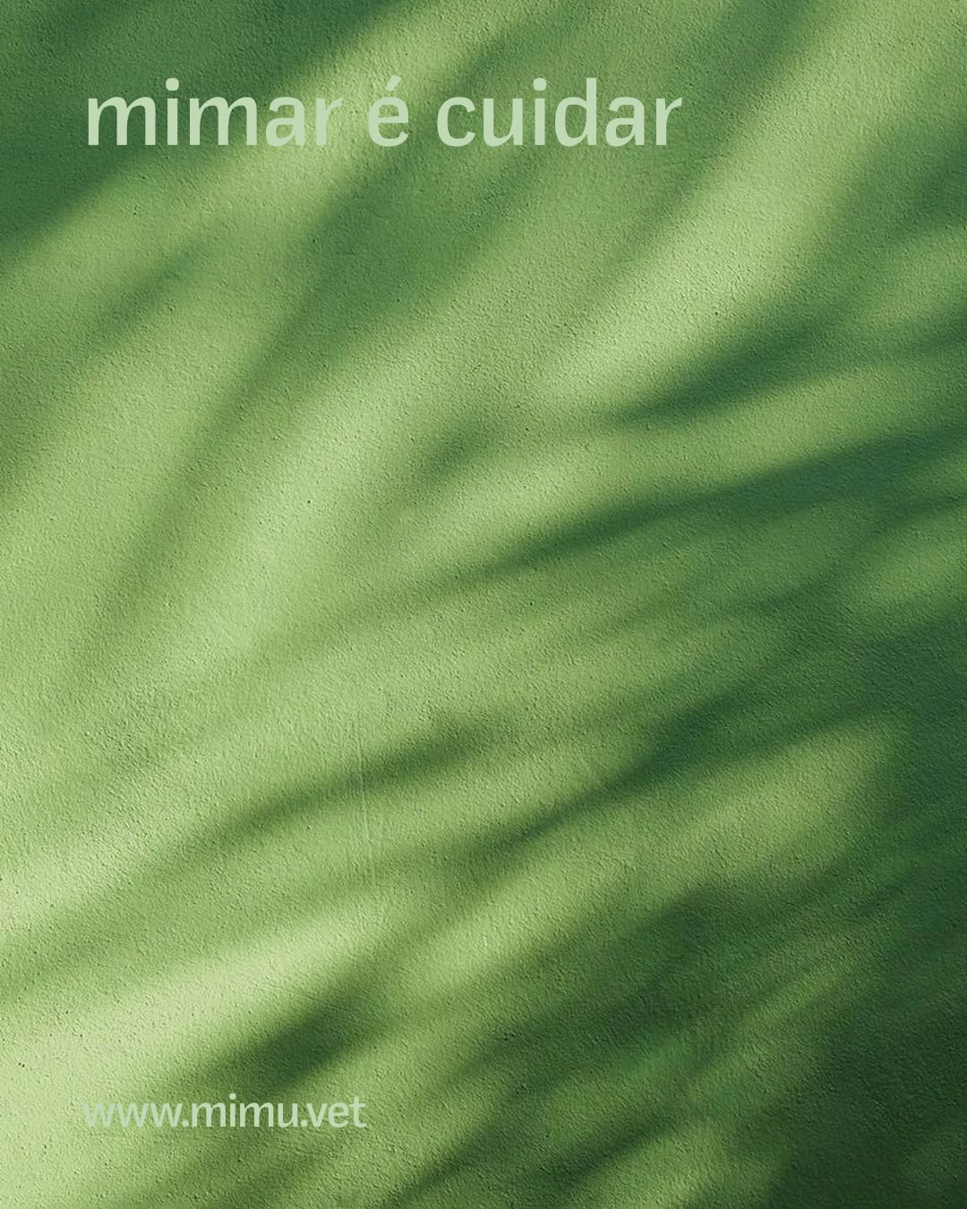 emotional resonance，Brand design，warm，Veterinary Project，