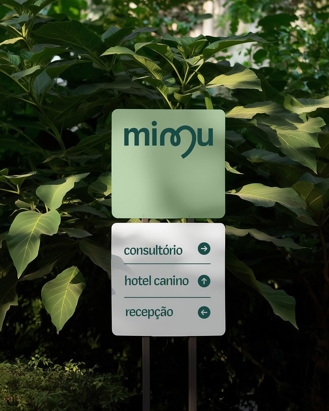 emotional resonance，Brand design，warm，Veterinary Project，