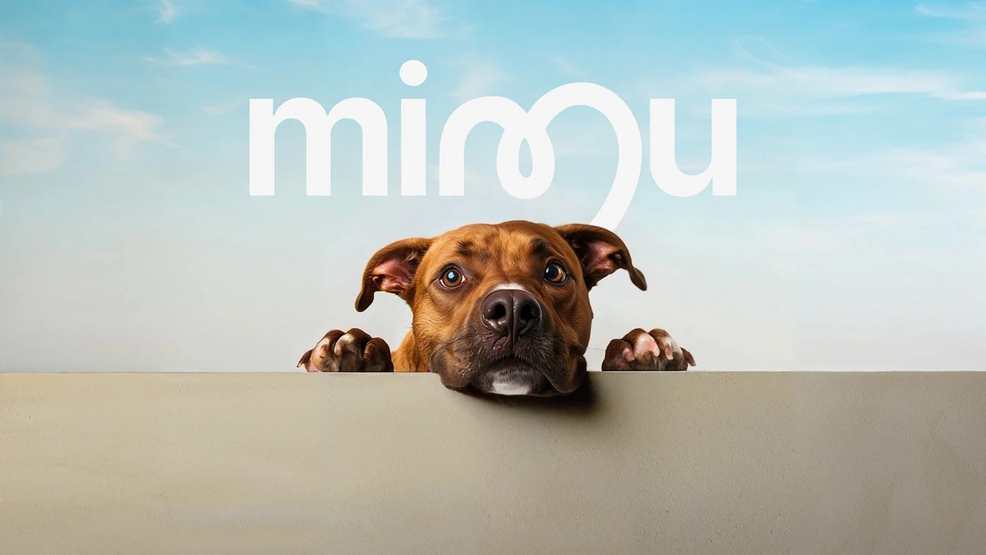 emotional resonance，Brand design，warm，Veterinary Project，