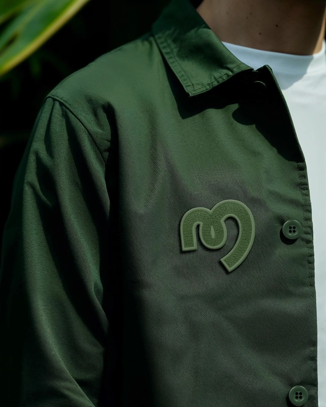 emotional resonance，Brand design，warm，Veterinary Project，