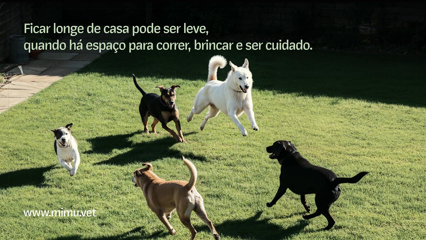 emotional resonance，Brand design，warm，Veterinary Project，