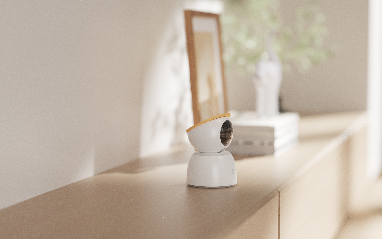 camera，Home，guard，accompany，