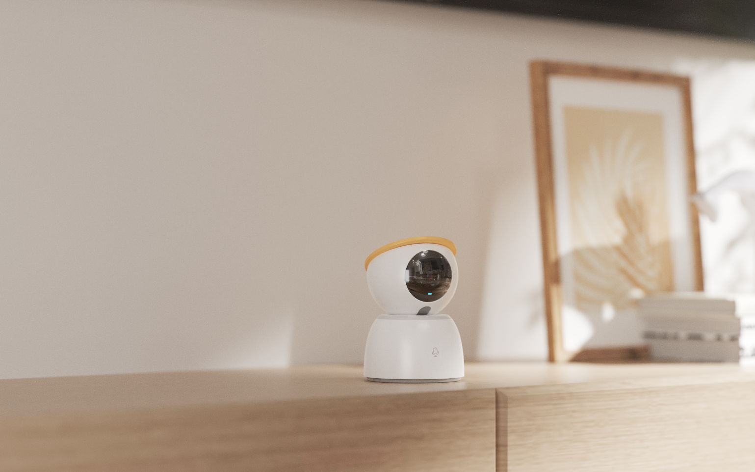 camera，Home，guard，accompany，