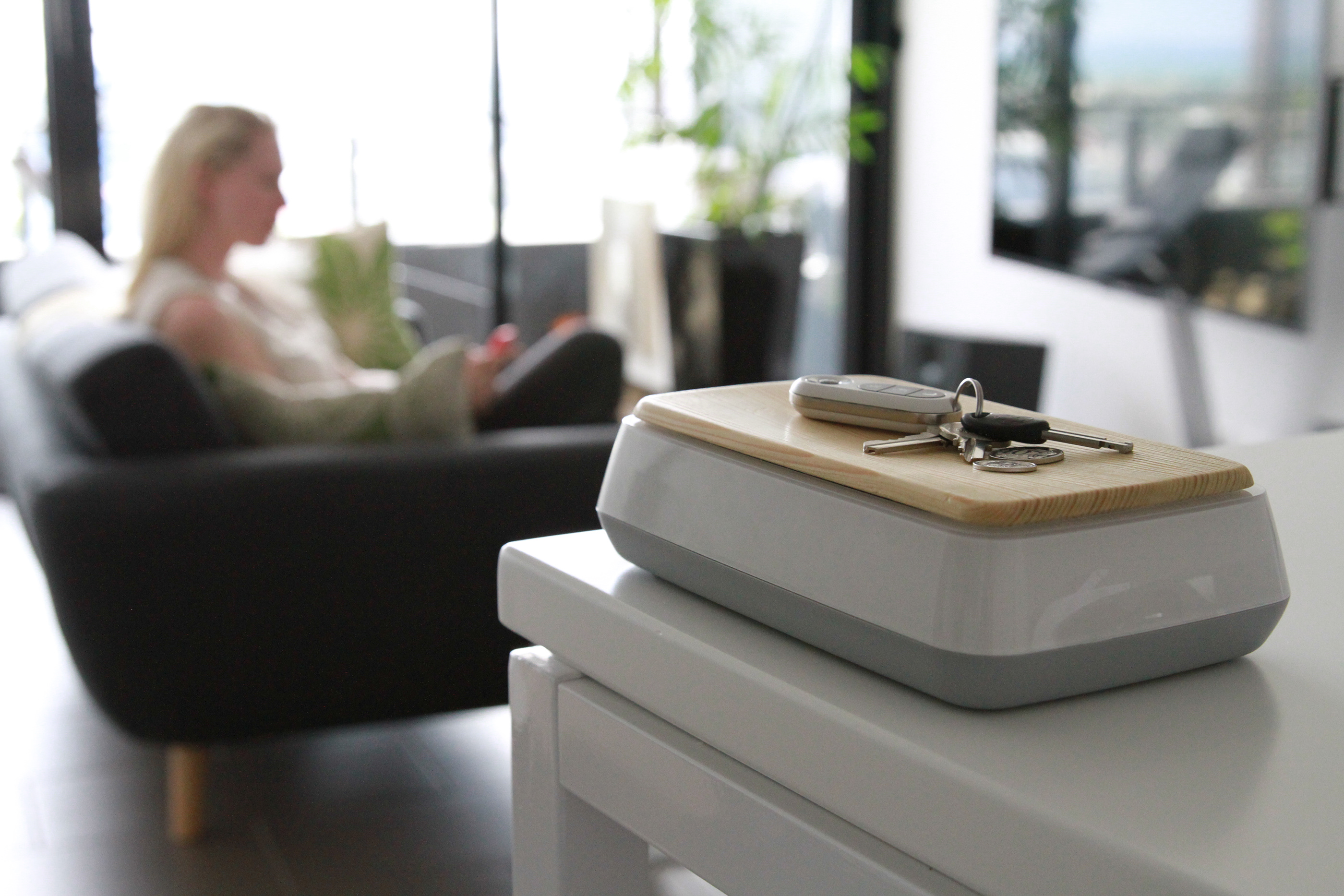 swann，Internet of things，Smart home，